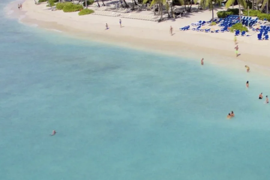 SAONA ISLAND CATAMARAN + SPEED BOAT EXPERIENCE